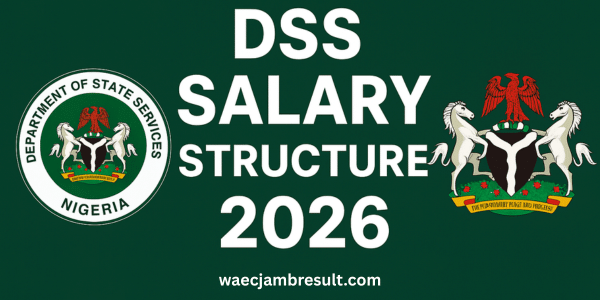 DSS Salary Structure 2026